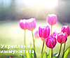 Иммунитет в период вирусных заболеваний: поддержка организма с помощью продуктов Herbalife Nutrition