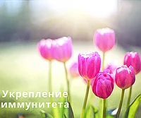 Иммунитет в период вирусных заболеваний: поддержка организма с помощью продуктов Herbalife Nutrition