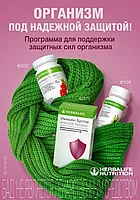 Иммунитет? Да!