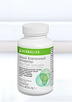Клеточный Активатор. Входящие в состав ингредиенты способствуют эффективному усвоению нутриентов и витаминов